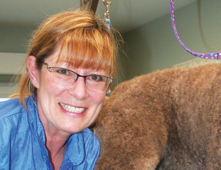 Pawsitively Furst Choice Pet Grooming Community Futures Mount Waddington